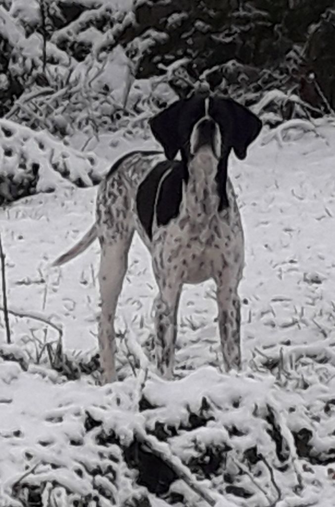 Janvier 2024, l'hiver est là.